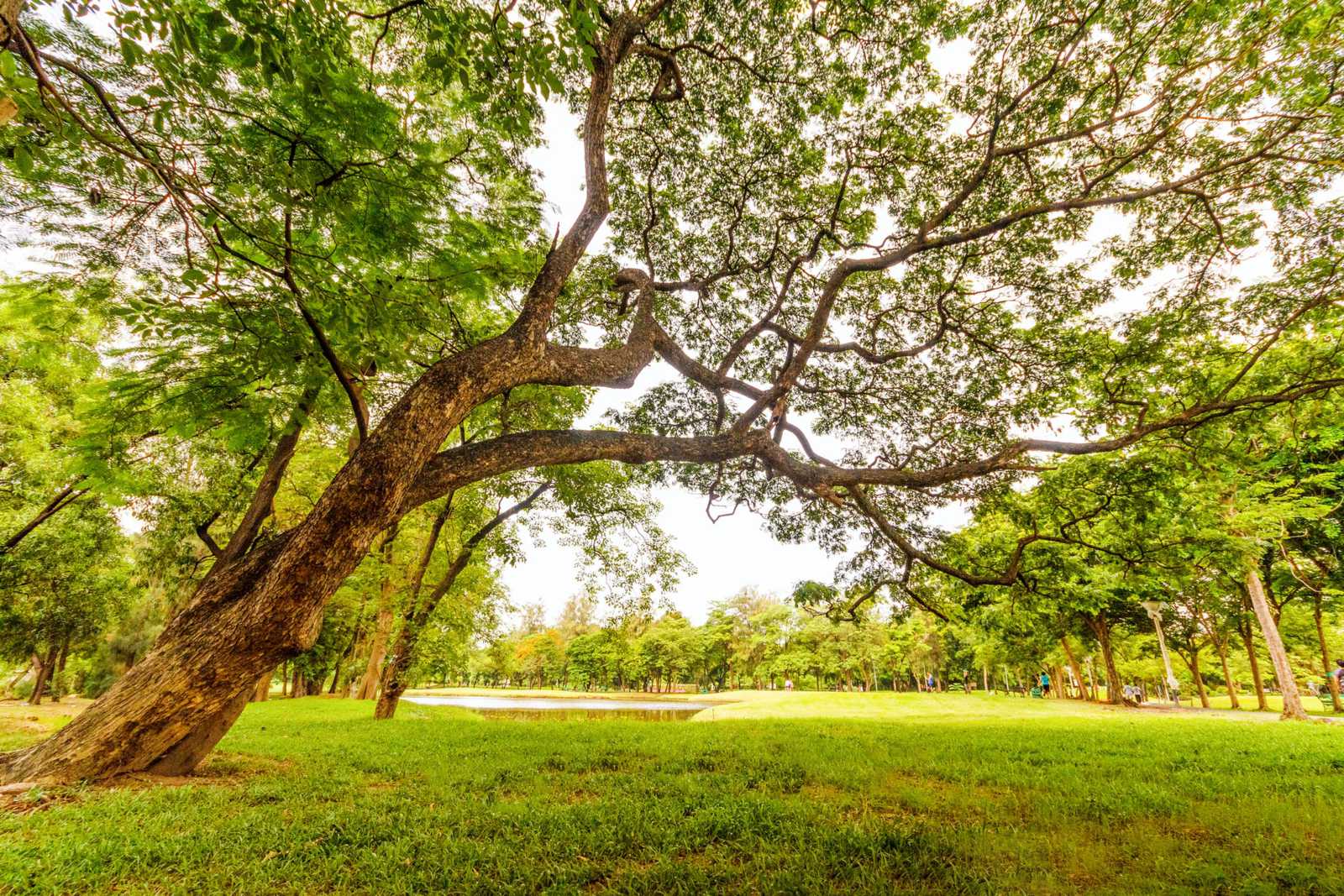 Landowners / Estates Managers